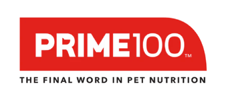 prime 100