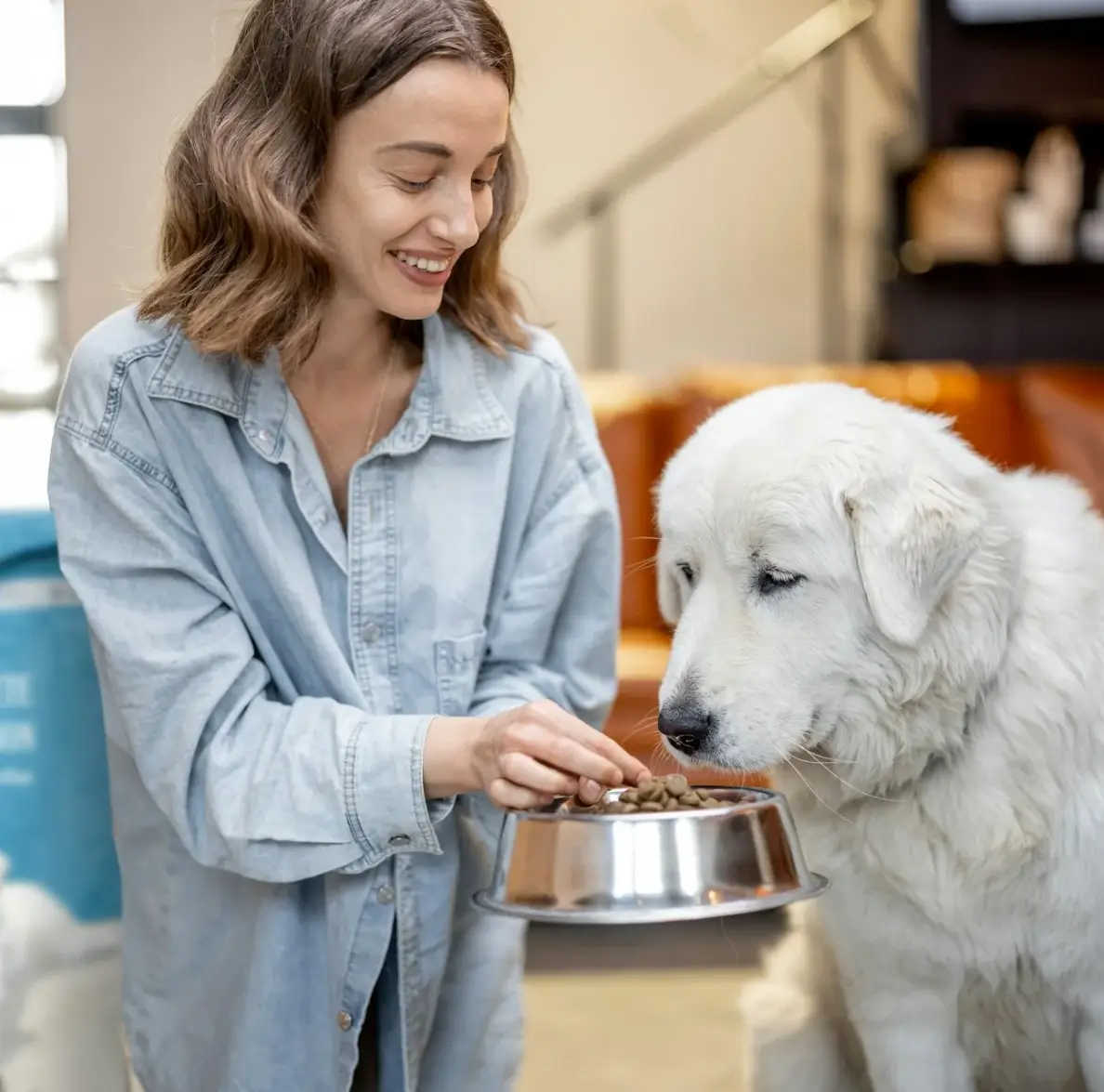lady feeding dog